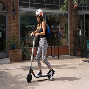 Ninebot By Segway ES4 Wholesale