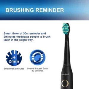 Fairywill Sonic FW-507 Electric Toothbrush Wholesale