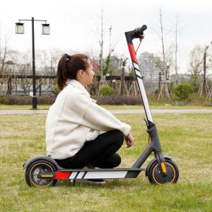 Ninebot MAX G30/G30D Kickscooter