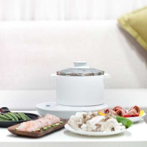 xiaomi ocooker multifunction e-cooker