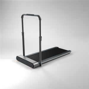 KingSmith Walking Pad R1 Pro