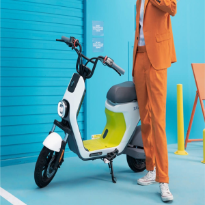 Ninebot C30 Electric Motorbike  Wholesale