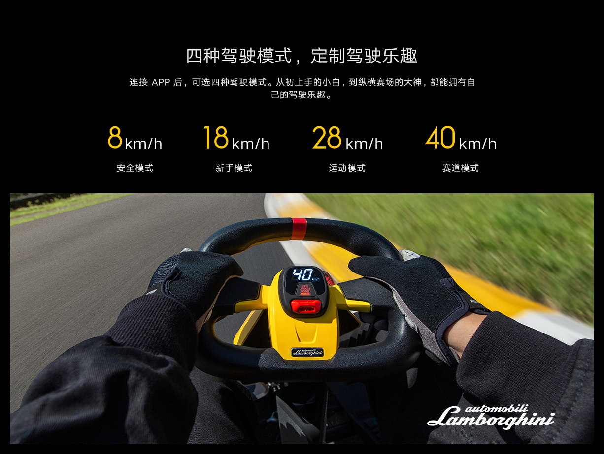 Ninebot Kart Pro Lamborghini Custom Edition Wholesale