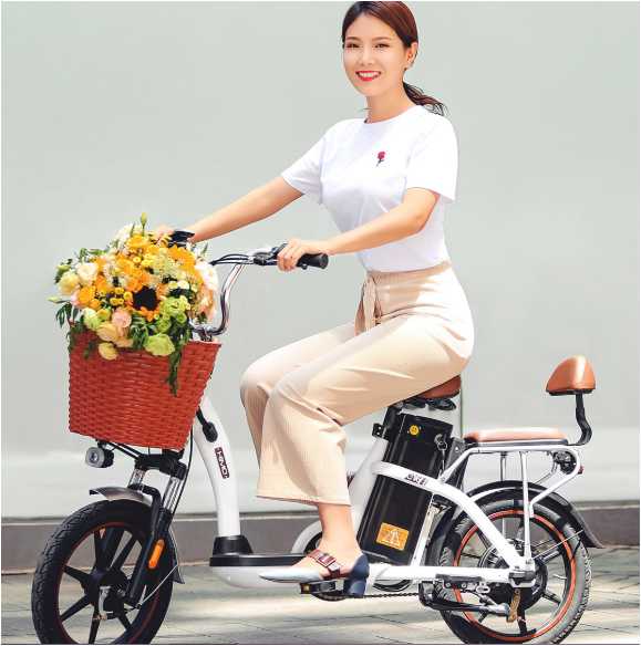 Xiaomi E-Bike HIMO C16