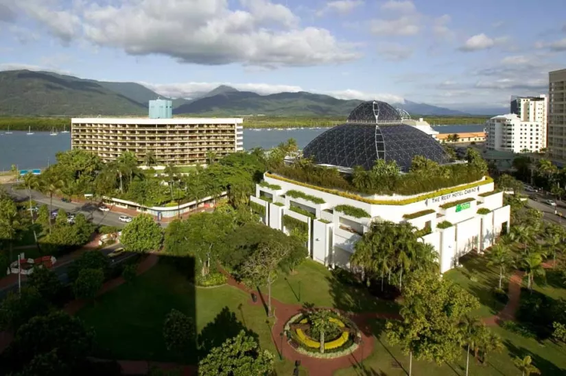 casino king of the jungle